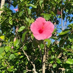 Meet your Posher, Vivian